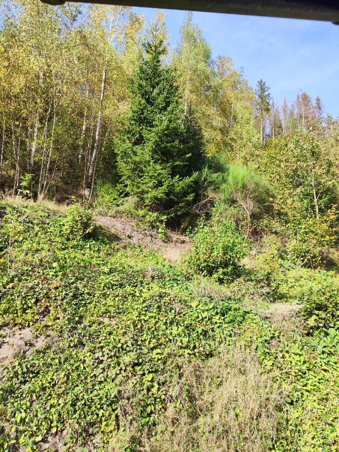 Wohlfuehloase Eifelsteig Villa Simmerath Dış mekan fotoğraf