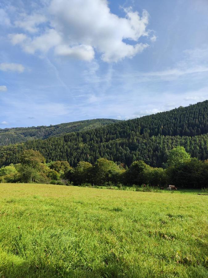 Wohlfuehloase Eifelsteig Villa Simmerath Dış mekan fotoğraf