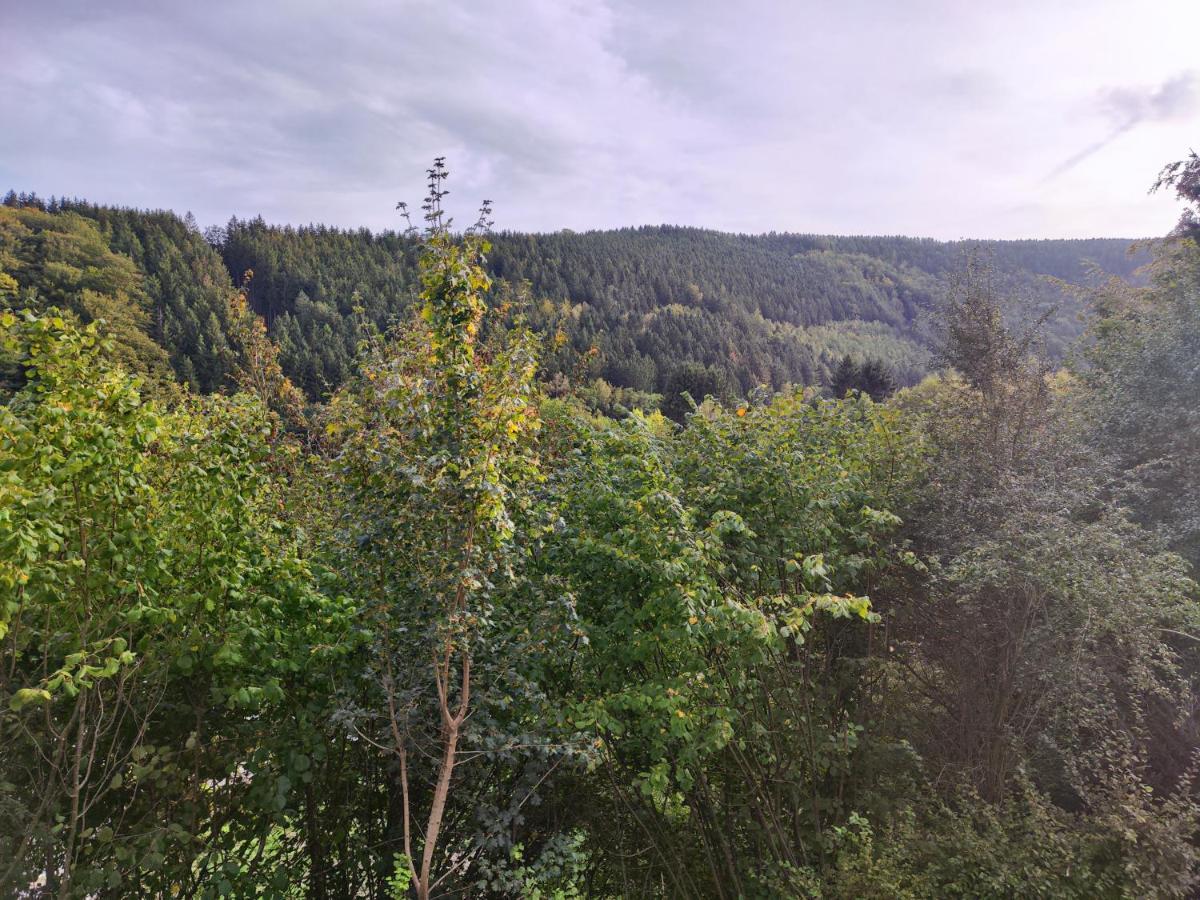 Wohlfuehloase Eifelsteig Villa Simmerath Dış mekan fotoğraf